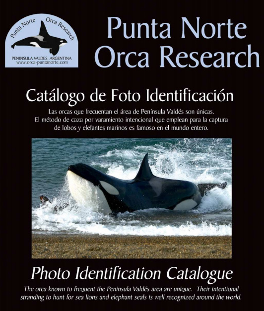orcas_catalogue_valdes.jpg